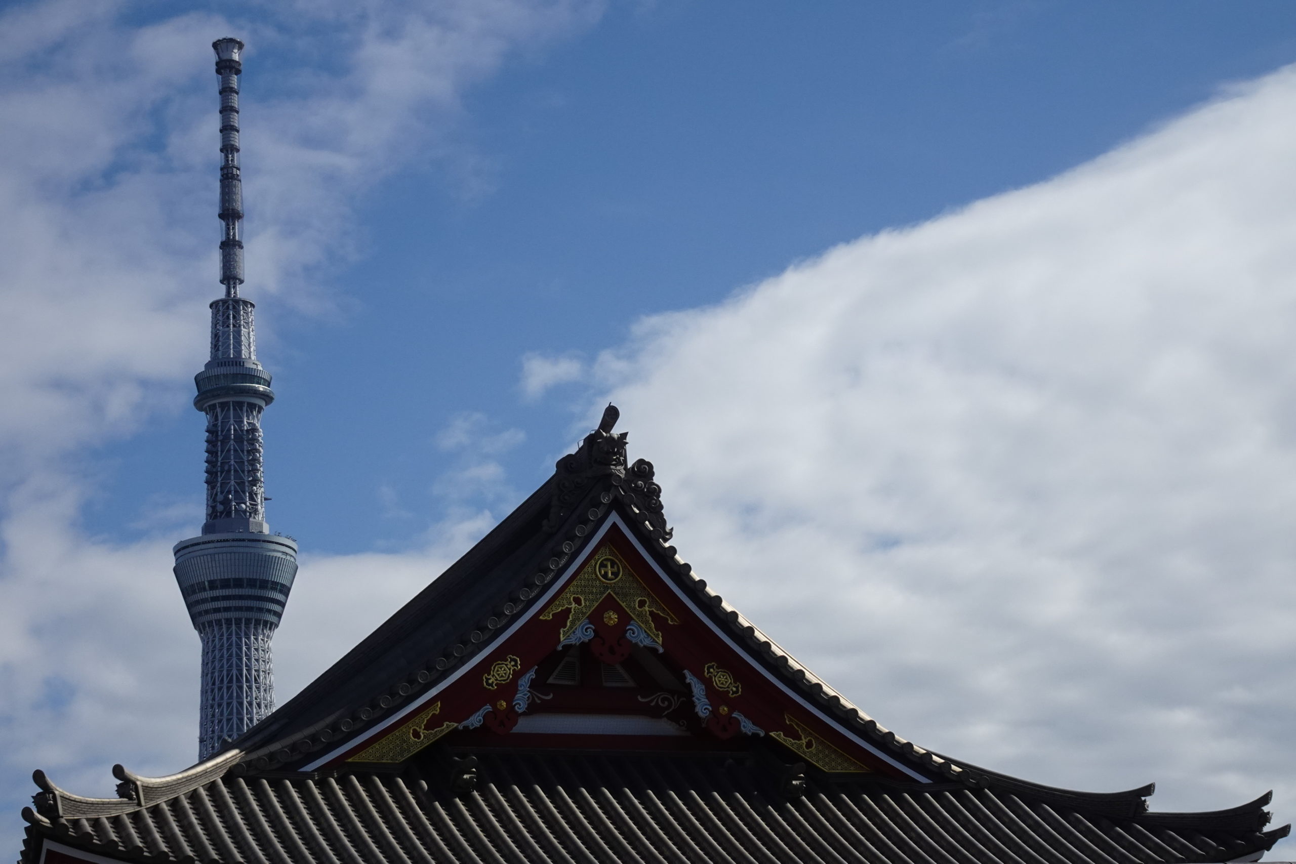 浅草寺宝蔵門の屋根とスカイツリー